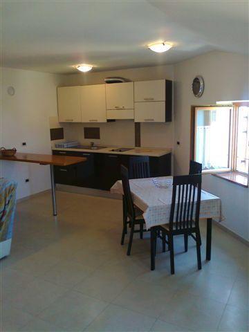 Apartments Edo Новиград Екстериор снимка